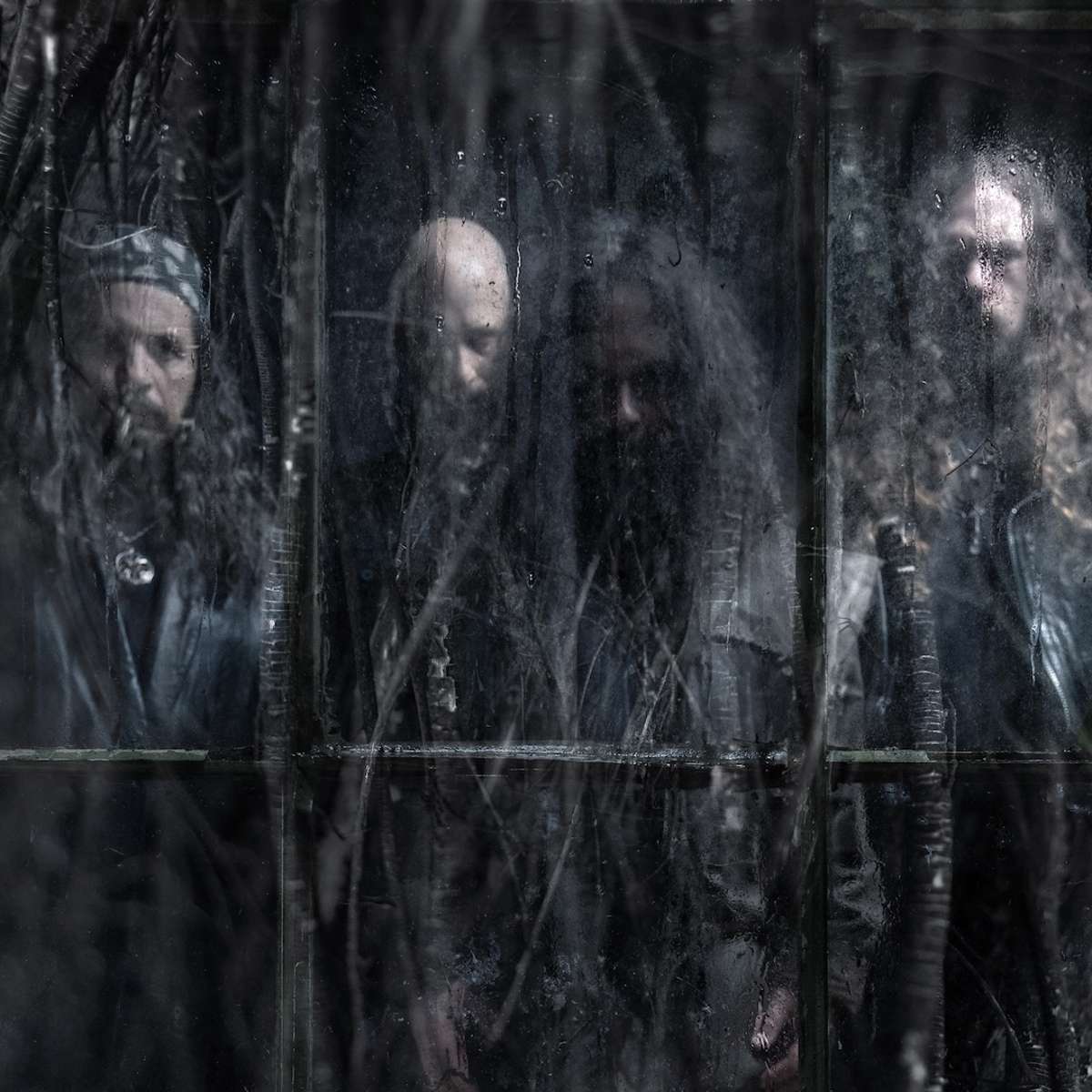 WOLVES IN THE THRONE ROOM
